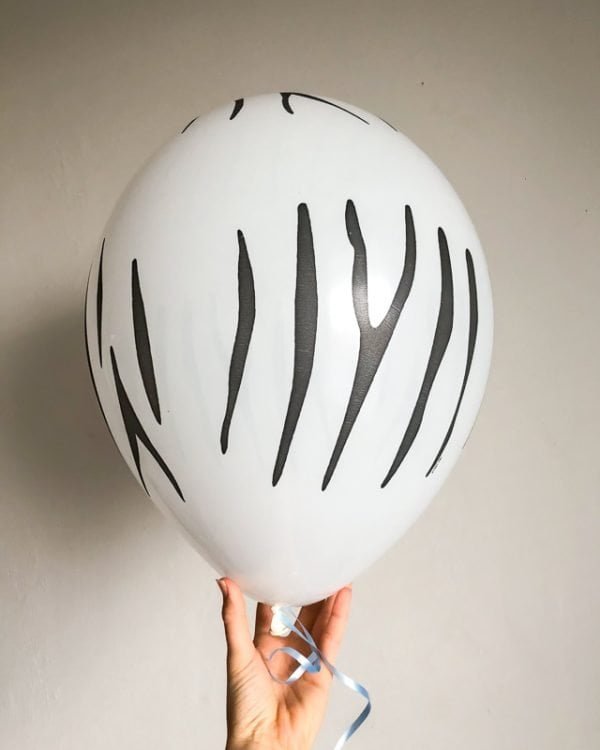 balonek zebra