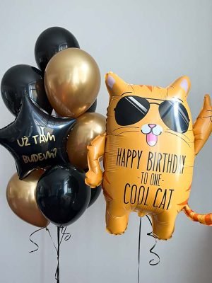 balonky cool cat